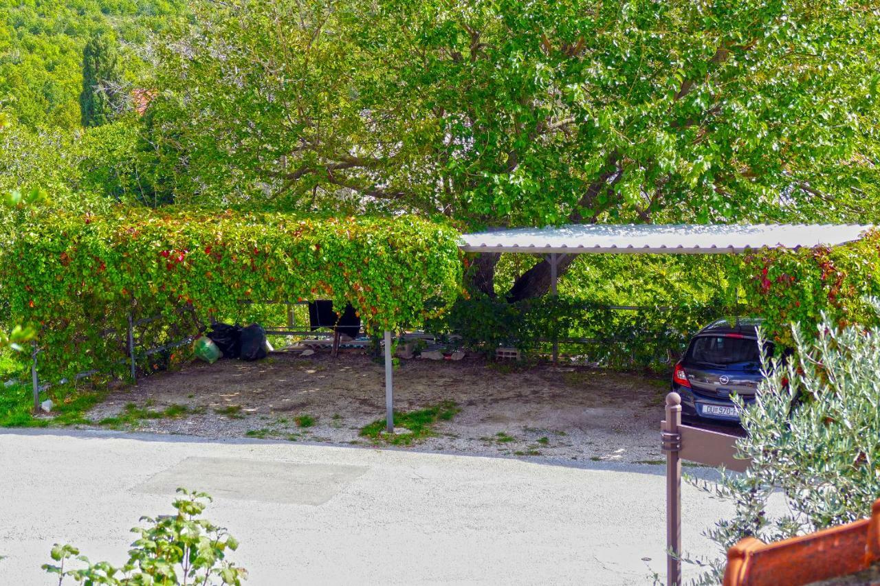 Villa Martinovic Dubrovnik Exteriör bild